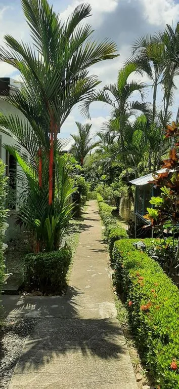 Phuket Sirinapha Resort – Photos 14